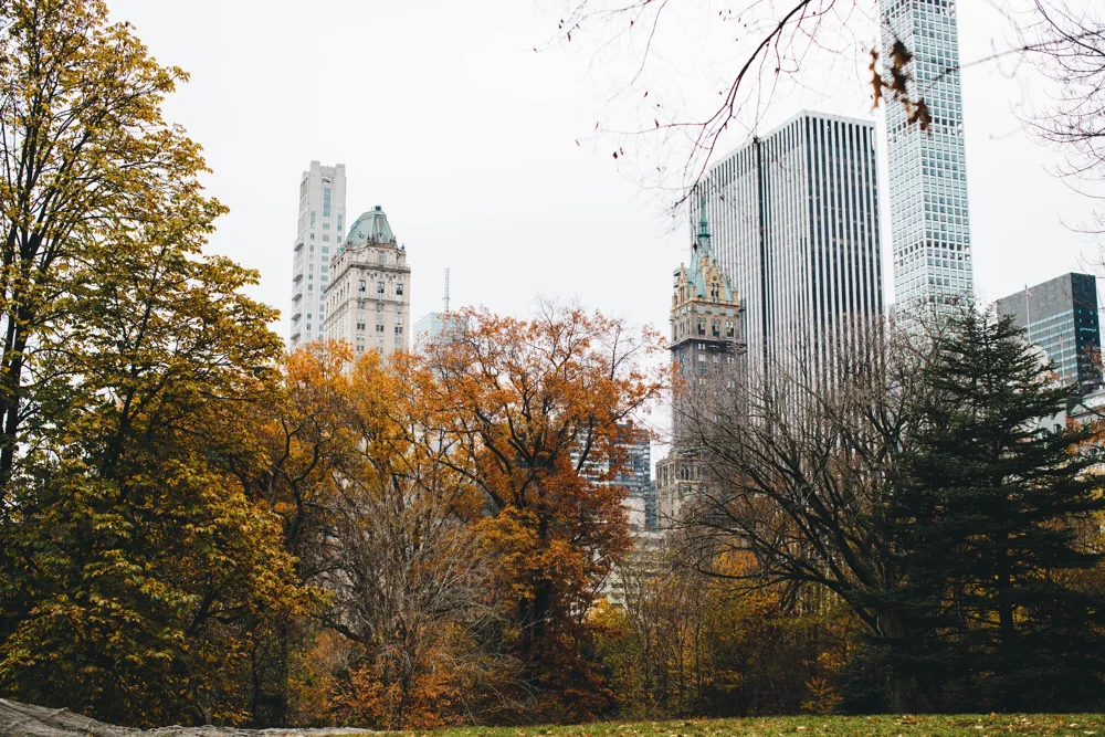 Autumn trees in Central Park with the Manhattan skyline beyond